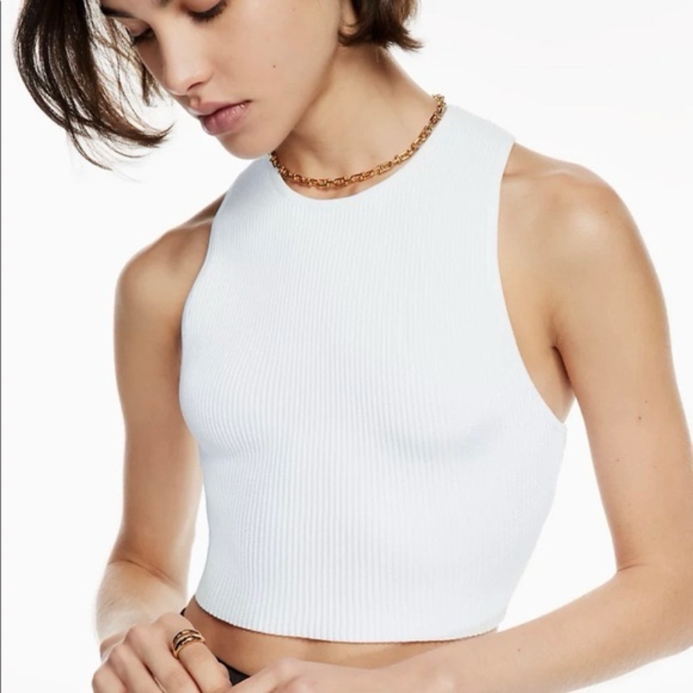 Aritzia Babaton Crop Tank